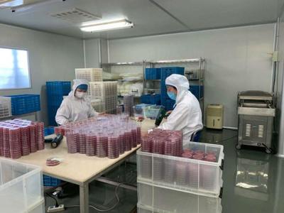 送政策、送口罩、幫復(fù)工 政府幫助虹口這家企業(yè)3天研制出病毒采樣管