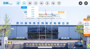 成都企業(yè)網站建設 明騰網絡