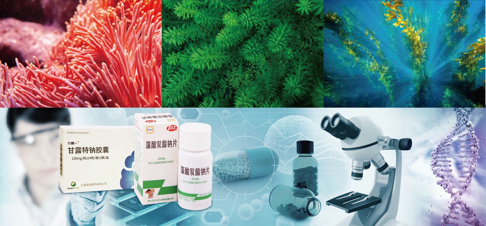 華大海洋樹(shù)立企業(yè)擔(dān)當(dāng)大力促進(jìn)海洋生物醫(yī)藥研發(fā)