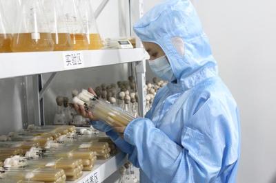 遼寧三友農(nóng)業(yè)生物科技