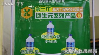 以品質(zhì)占領(lǐng)市場(chǎng)靠質(zhì)量鑄就品牌,2019中原畜牧?xí)靼部禈?lè)大展風(fēng)采
