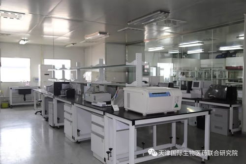 天津國際生物醫(yī)藥聯(lián)合研究院技術(shù)平臺助力70余家創(chuàng)新企業(yè)和團隊研發(fā) 提速