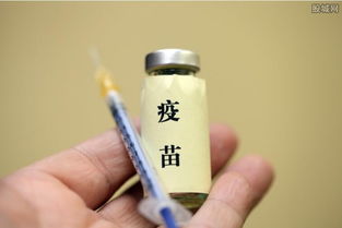 動(dòng)物疫苗概念股有哪些 2018動(dòng)物疫苗概念股一覽
